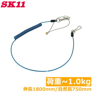 SK11 h~R[h Z[teBR[h 1kg SSC-1L u[  SR[h ZteBR[h S[v h~R[h H