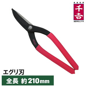 g \nT~  ؂oT~ ؂͂ 210mm MS5 ؂nT~ ؂ XeX A~jE S