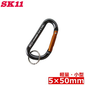 SK11 A~ y Jri ^ ubN  SAC-550B c[tbN   ݂艺 L[z_[
