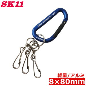 SK11 A~ y Jri SAC880B3 u[  L[z_[   ݂艺 c[tbN
