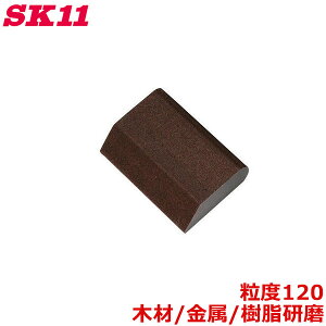 SK11 ubN X|WT_[ubNR #120  ؍ TrƂ yL͂