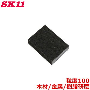 SK11 ubN X|WT_[ubN #100  ؍ TrƂ yL͂