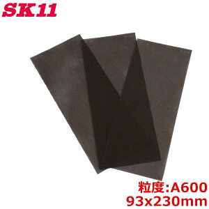 SK11 |lbg ʃX 3 A#600 bV  ؍ TrƂ yL͂