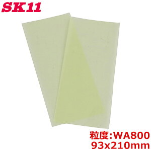SK11 M|lbg ʃX 2 WA#800 }CNX bV  ؍ TrƂ yL͂