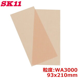 SK11 M|lbg ʃX 2 WA#3000 }CNX bV  ؍ TrƂ yL͂