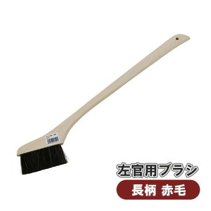   Lg   Ԗ ׂ ^C  ꗎƂ |