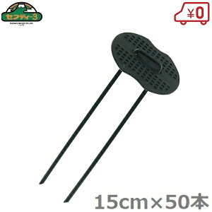 ZteB|3 hV[g s 15cm×50{ bV[t  R̎s s Œs V[gY Y UsY Uo[ vebNX  O[