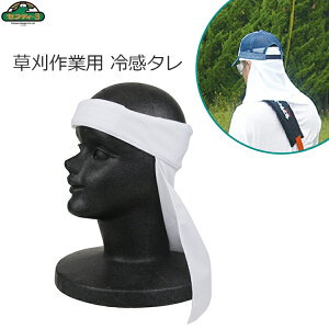 ZteB[3 p ⊴^ Lbvp Xq Ci[ MǑ΍ _ SCT-1