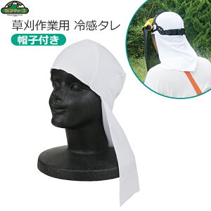 ZteB[3 p ⊴^ Lbvp Xqt Ci[ MǑ΍ _ SCT-2