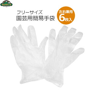 ZteB[3 |p ȈՎ 6 Ep dグ rj[