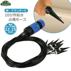 ZteB3 _HmY UmY Uz[X yɍ    Up STN-1015