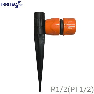 XvN[ XpCN R1/2(PT1/2) X^h Zbg U