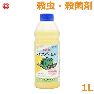 EEۍ nbp  1L _  TPC  イ ڂ o ǂ񂱕a n_j h