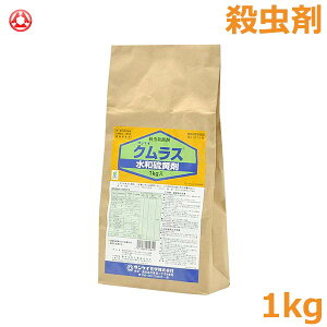 EEۍ NX 1kg _  TPC n_j Tr_j ǂ񂱕a ѕa h ΍