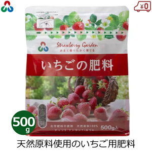 AOA ̔엿 L@엿 500g  엿 Y L@͔|  ǔ VR ƒ؉ ƒp | K[fjO