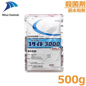 Eۍ RTCh3000 500g ua 悤a ԏĕa ΍ h _  O䉻w