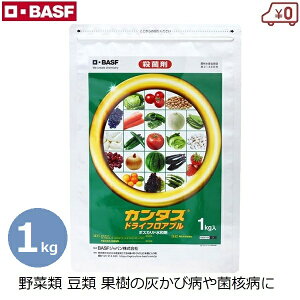 BASF J^XhCF Eۍ 1kg aQ\h  DFѕa ۊja ѕa   ʎ  a h \h E _ _앨