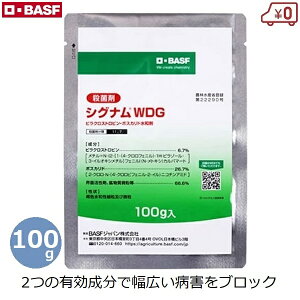 BASF VOiWDG Eۍ 100g aQ\h aQ΍  DFsa DFѕa ۊja ׂƕa ѕa ǂ񂱕a  ؉ h E _ _앨
