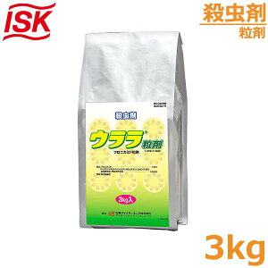 E E 3kg AuV 񂱂 Q΍ h _  ΌoCI