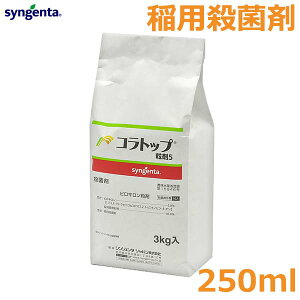 Eۍ p Rgbv5 3kg _  VWF^  a ݌͍׋ەay2025N10؂z