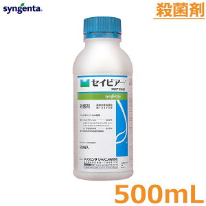 Eۍ ZCrA[tAu 500ml DFѕa ۊja _  VWF^