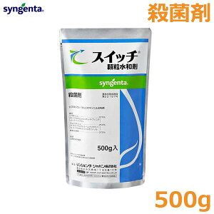 Eۍ XCb` a 500g ݂ 񂫂 ʂ˂ Ԃǂ  DFѕa _a