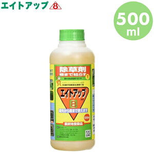   GCgAbv 500ml  Uz@ G΍ ߂ WFlbN t t  S S V[W[GX