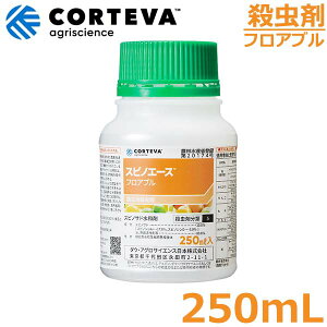 E XsmG[XtAu 250ml _  _