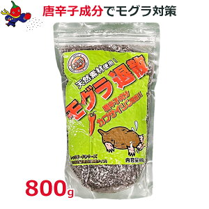 AP[ O  OގU 800g ^Cv Oގ 쏜 ΍ JvTCVz lY~ nNrV Aޗ