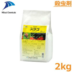 E XS 2kg iNW J^c }C}C 쏜 h ΍ _  O䉻w