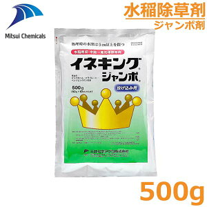  ClLOW{ 500g c ꔭ I_J A[K C{NT G h ΍ _  O䉻w