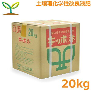 Lb|  20kg t ǔ t̔엿 c c 엿 ǂ |  ʎ Ȍ