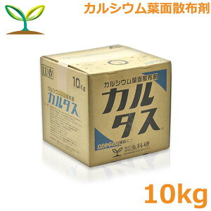 엿 J^X 10kg JVE엿 ⋋ t t̔엿 tʎUz RǏ \h Ȍ