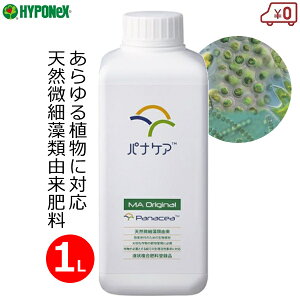 nC|lbNX t 엿 piPAMAoriginal 1L y돈 y  i VR VRבފܗL Ɩp  ʎ ʎ A Ő oCIXeB~g