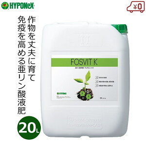 nC|lbNX _t t̔엿 tHXrbgK 20L i  Ɩp  ʎ ʎ A oCIXeB~g