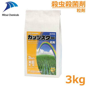 EEۍ KbcX^[ 3kg p a a ΍ h _  O䉻w