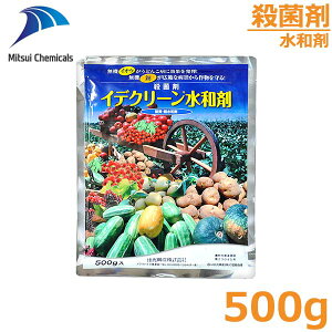 Eۍ CfN[a 500g イ ڂ ǂ񂱕a g}g ua h ΍ _  oAO