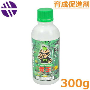 牤 300g A瑣i 엿 t ʎ    ʕ  ʏ