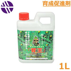 牤 1kg A瑣i 엿 t ʎ    ʕ  ʏ