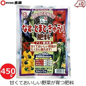  Ȃg}gイ엿 450g 엿 ǔ Y A~m_ _ ƒ؉ v^[ c At K[fjO