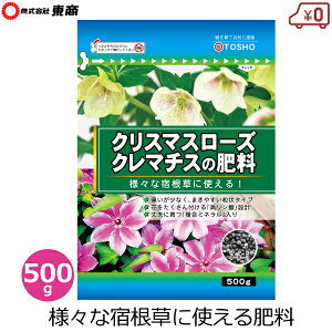  NX}X[Y N}`X 엿 500g h Y  ǔ ƒ؉  Ԓd  v^[ A K[fjO