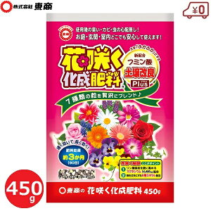  ԍ炭엿 450g 엿 ǔ Y 3 _ J }OlVE ƒ؉ Ԓd A  v^[ A c At K[fjO