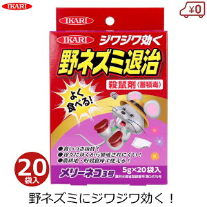 CJ El 5g×20 ˂ ˂ 쏜 ގ _ ŉa [lR3 _kn _n q R  ƒ؉ ~ϓŐ  쏜