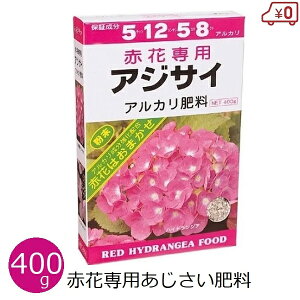 ԉԐp엿 400g Ԃ z ԐF 엿 ƒp ԐFip AJ엿  ǔ A Ԓd  K[fjO A~m[w