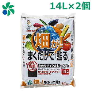 yǍ ͔ ؉ p 14L×2Zbg ܂S  K[fjO RpȊw