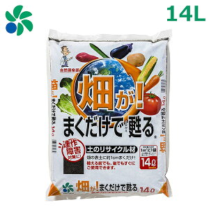 yǍ ͔ ؉ p 14L ܂S  K[fjO RpȊw