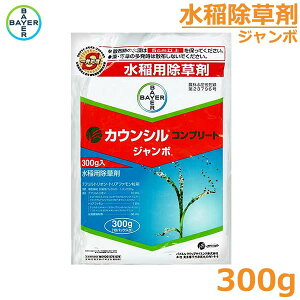  JEV Rv[gW{ 300g c ꔭ NG ΍  _ oCG