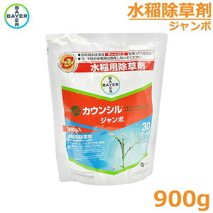  JEV Rv[gW{ 900g c ꔭ NG ΍  _ oCG