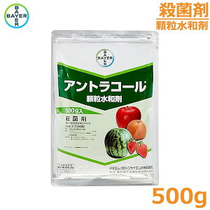 Eۍ AgR[ a 500g a Ysa ʎ h _  oCG