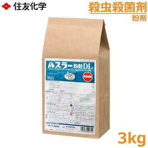 EEۍ nX[DL 3kg a ͕a Q ΍  _ ZFw